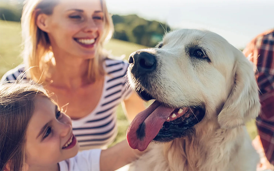 a child playfully with their dog