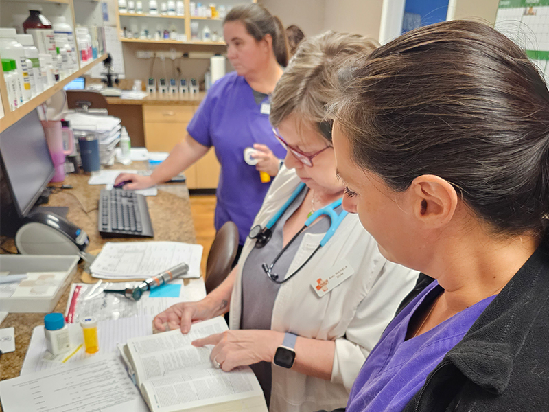 group of vet in a lab