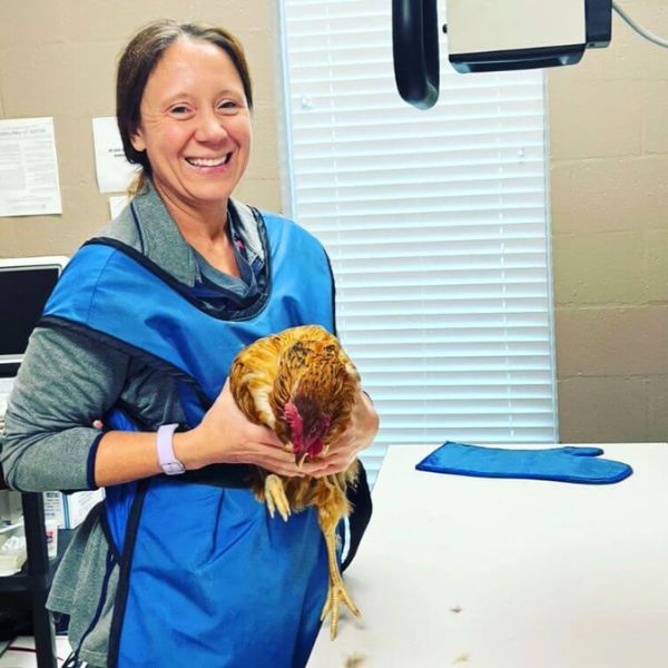 vet holding a hen